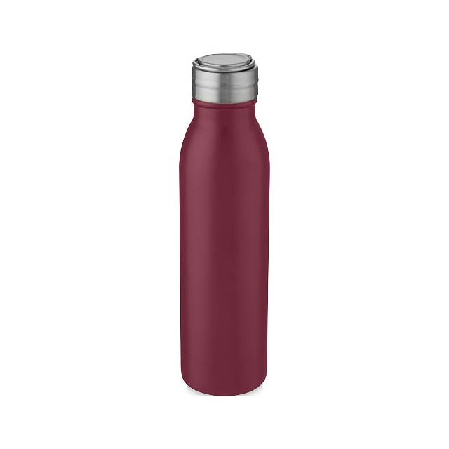 Harper 700 ml stainless steel sport bottle with metal loop - transparent red
