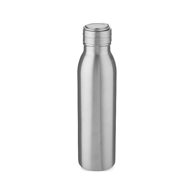 Harper 700 ml stainless steel sport bottle with metal loop - silver
