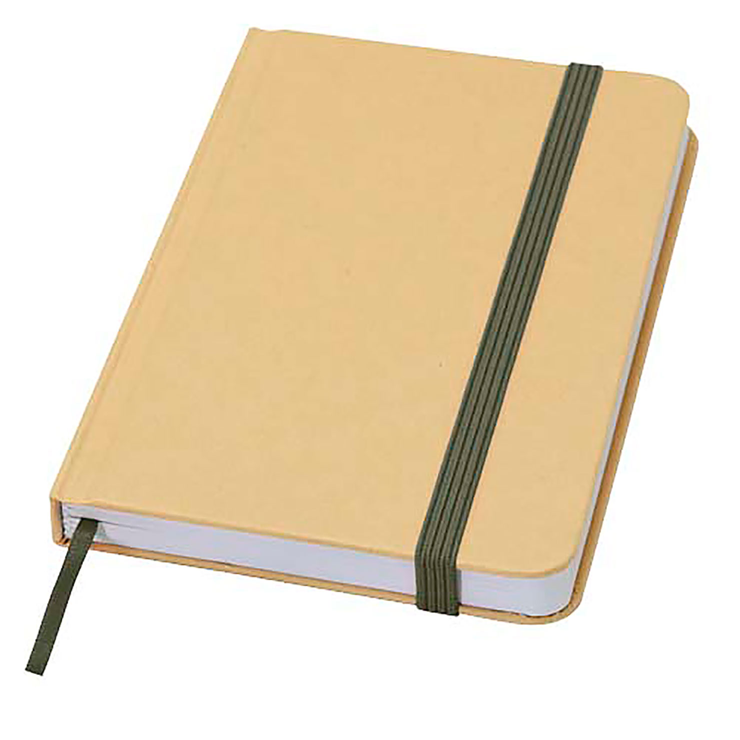 Reed A6 recycled hard cover notebook with plain pages - green