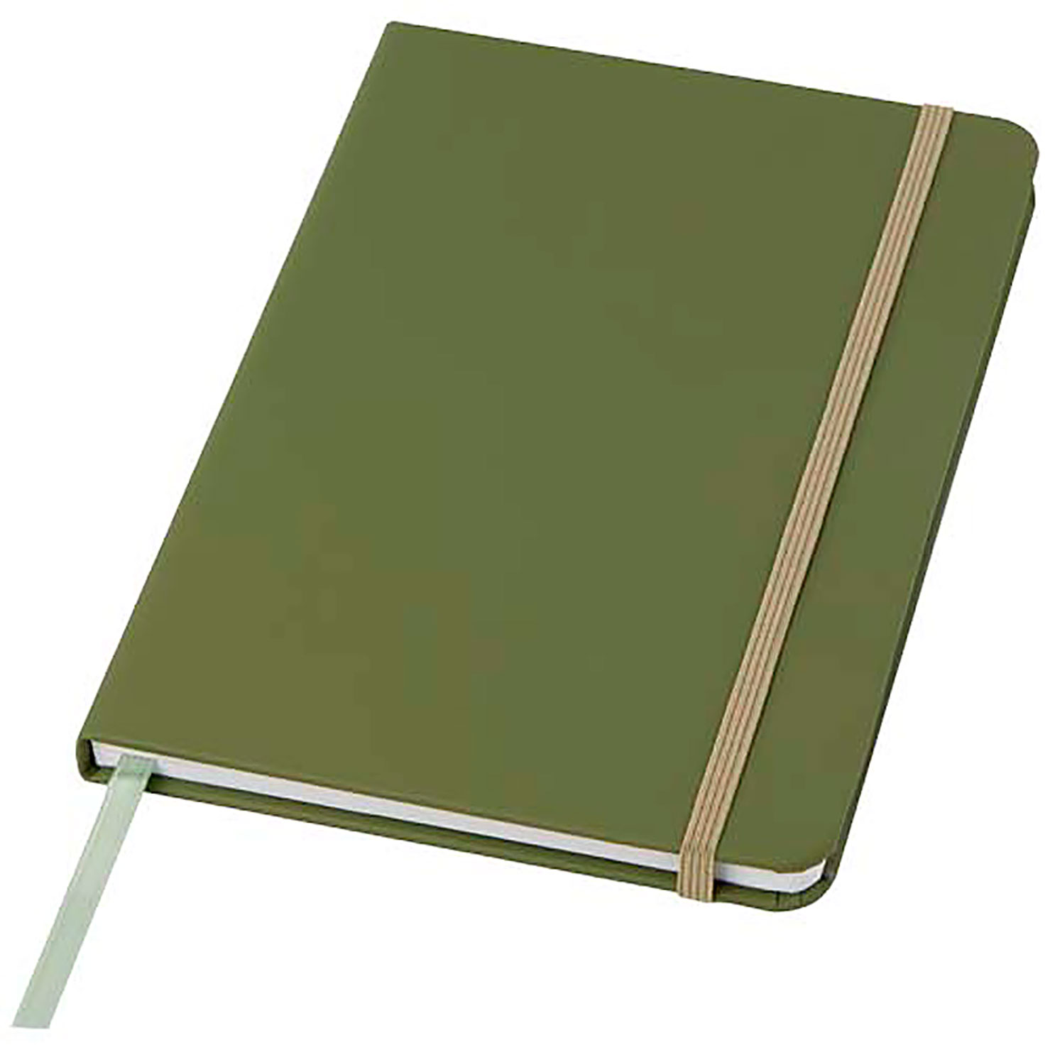 Spectrum A5 notebook with blank pages - green