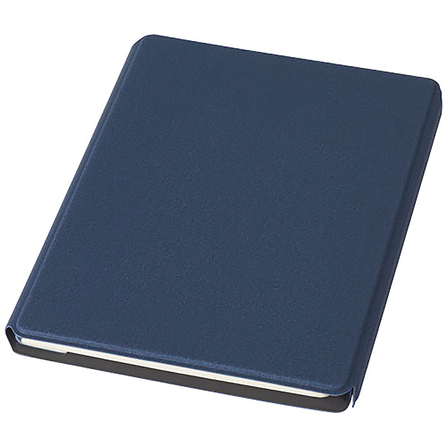 Notu padfolio - blue