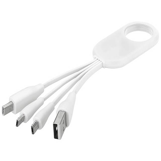 Troup 4-in-1 charging cable with type-C tip - white