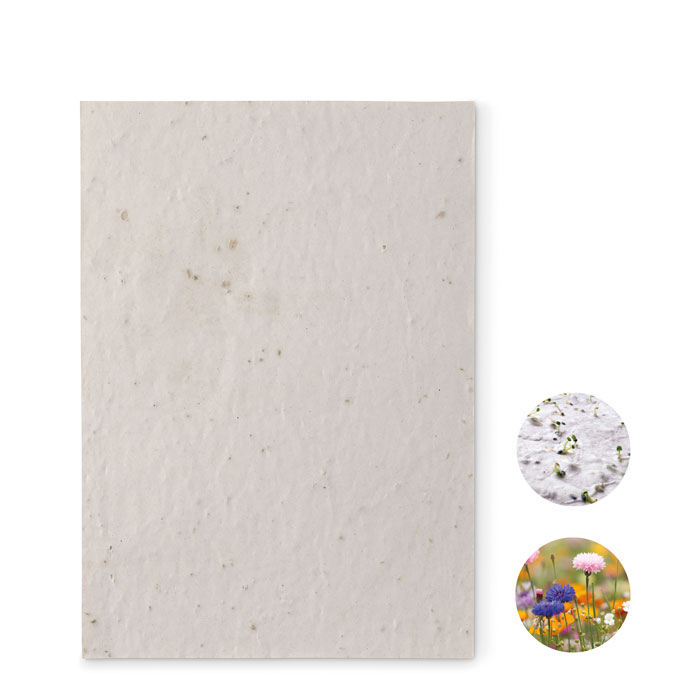 DIN A5 Wildblumen-Samenpapier - ASIDE - Weiß 