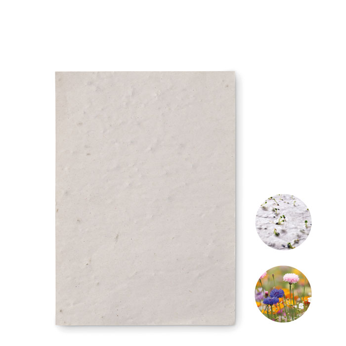 DIN A6 Wildblumen-Samenpapier - ASIDO - Weiß 